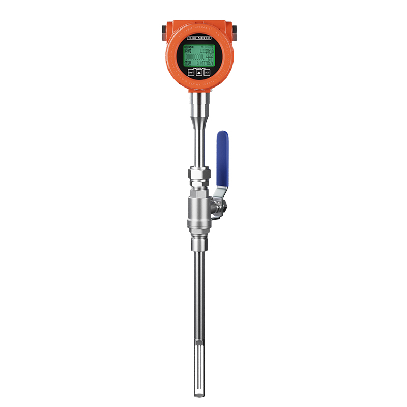 熱式氣體質量流量計